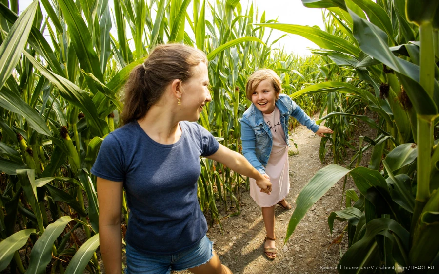 Kinder laufen durch ein Maisfeld in der Natur im Sauerland.