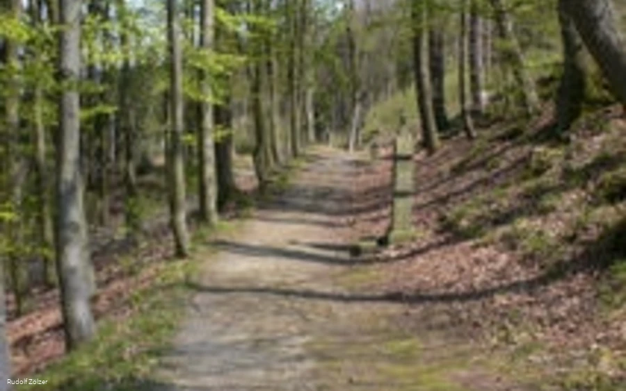 Weg zur Kapelle Weg zur Kapelle