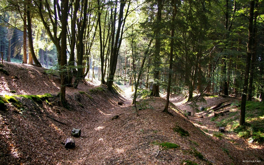 Der Schlüsenpfad bei Drolshagen