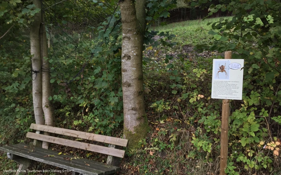 Ruhebank und Info-Tafel