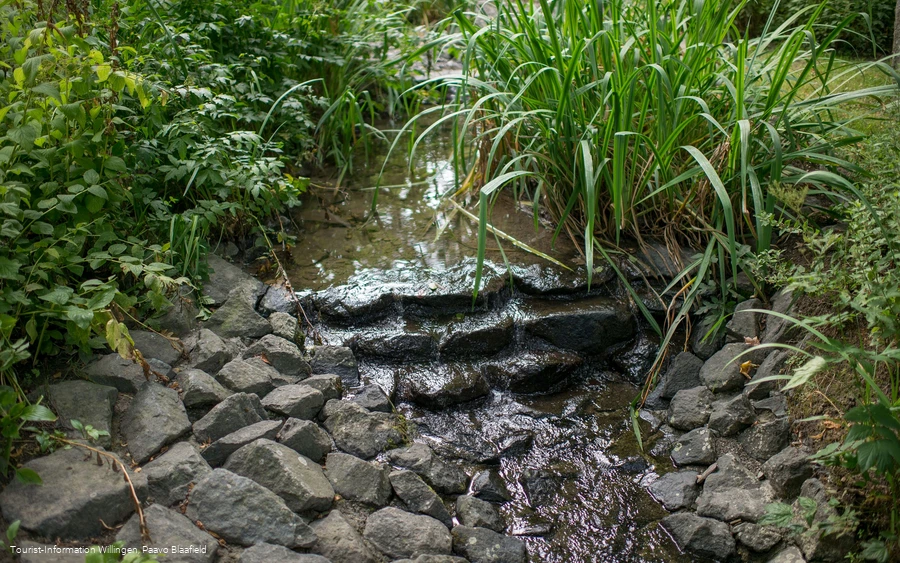 kurgarten-willingen-bach-paavo-blåfield.jpg