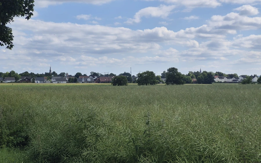 1750345724207.jpg 1750345724207.jpg