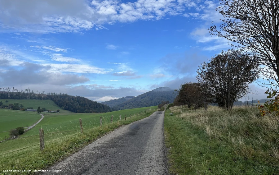 Auf dem Uplandsteig