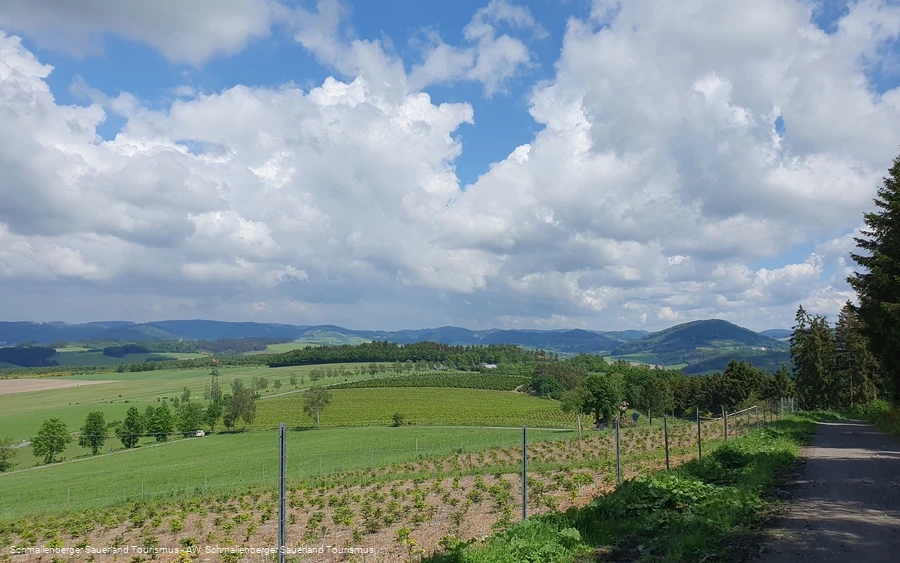 Blick zurück in Richtung Wilzenberg und Hunau