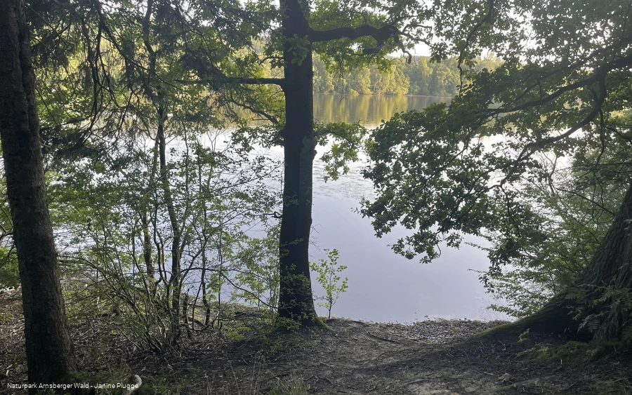 Hevesee am Möhnesee