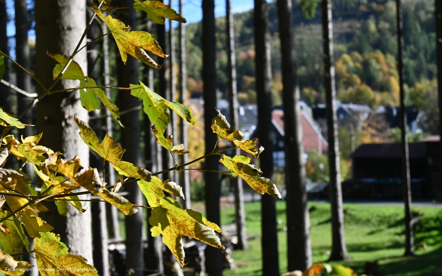Ostwig - Ausblick auf den Ort