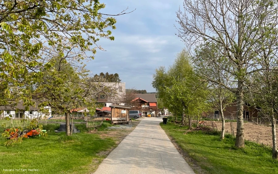 Blick auf das Hofareal