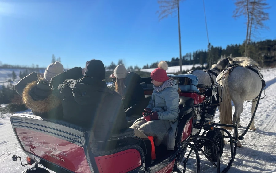 Pferdeschlittenfahrt bei Sonnenschein Wilke-Mühle.jpg