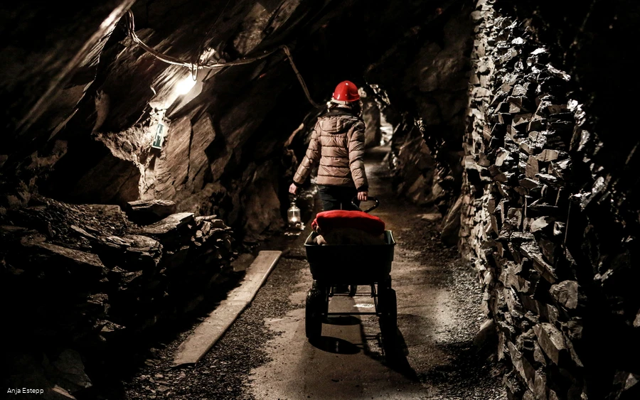 1I4A7185, copyright Susanne Müller, photographer Anja Estepp.jpg