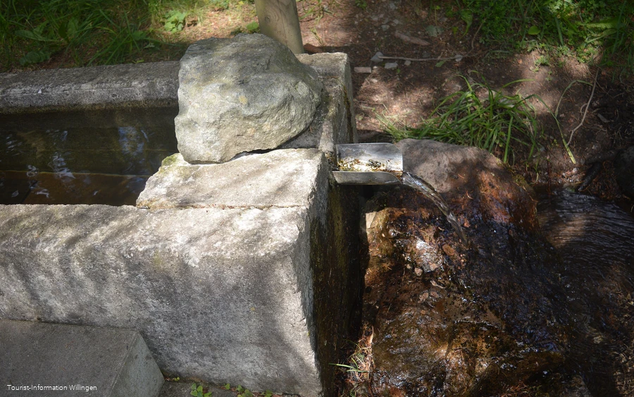 kneippanlage-waschkump3 c) tourist-information-willingen.jpg