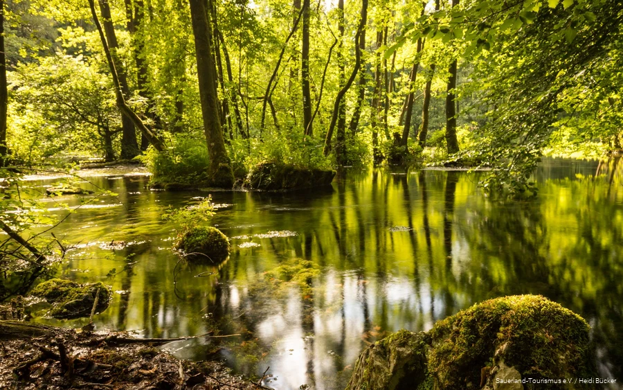 Almequellen 1 The Almequellen springs with their mysticism are a very special destination for an excursion.