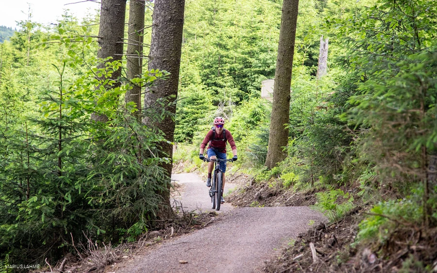 Green Trails Willingen Ruthenaar Intro (2).jpg