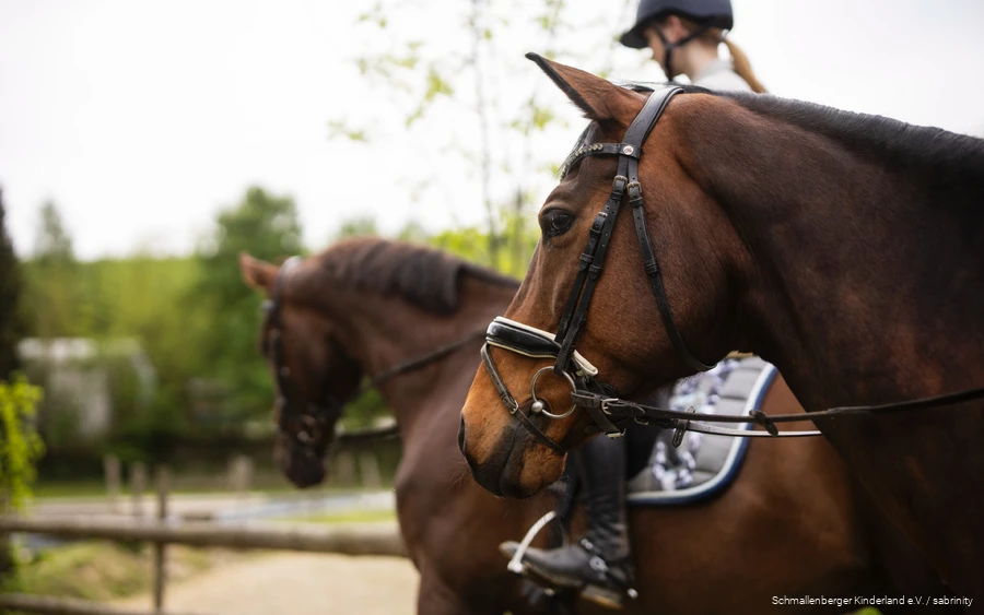 Two riders with their horses.