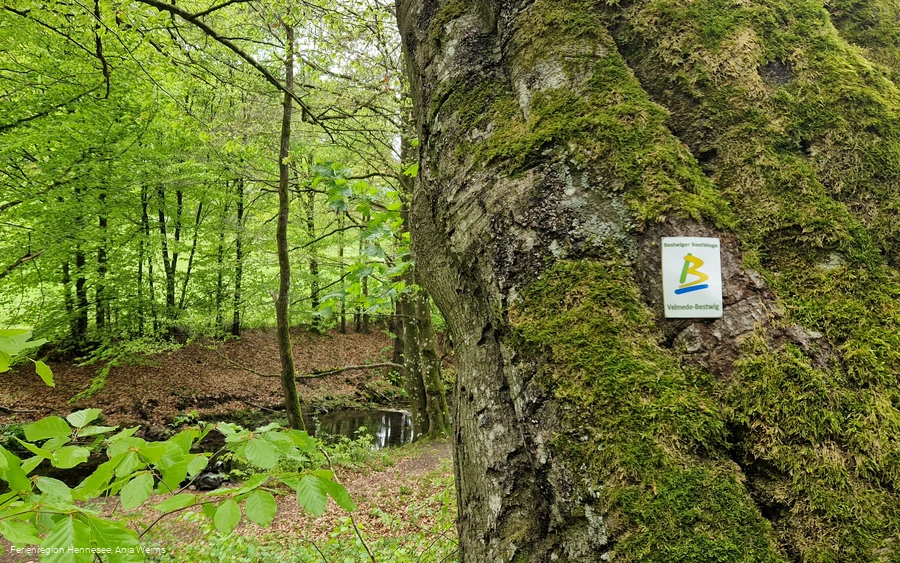 Bestwiger BestWeg Velmede-Bestwig