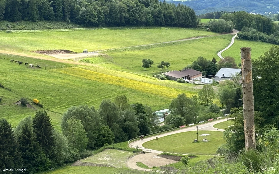 Falkenegg_Anlage Falkenegg_Anlage