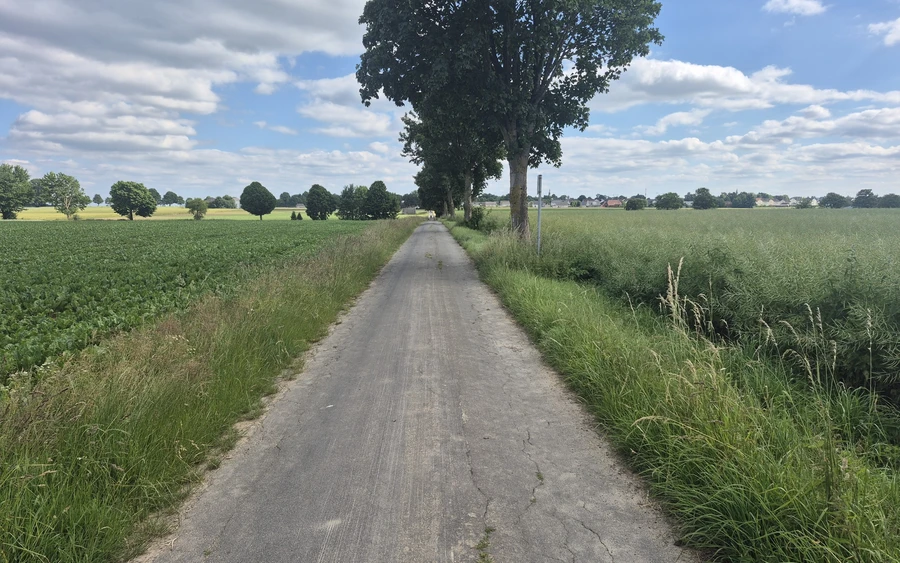 1750345700653.jpg 1750345700653.jpg