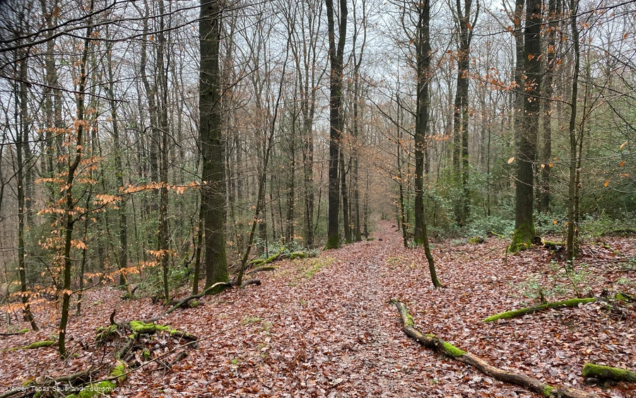 Naturbelassener Pfad