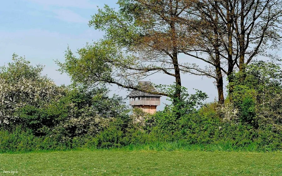 Motte in Neuenrade-Küntrop