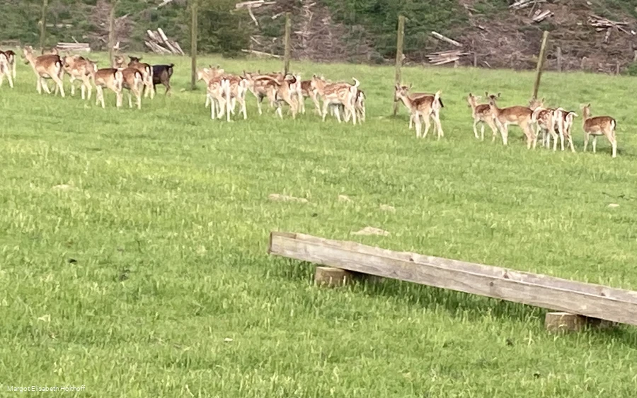 entlang des ZeichenKurs.jpg