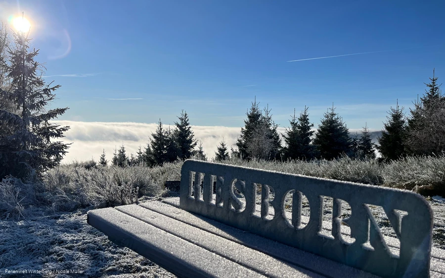 Tisch mit Metallschild mit der Aufschrift Hesborn umgeben von Wald, blauem Himmel und strahlender Sonne im Winter.