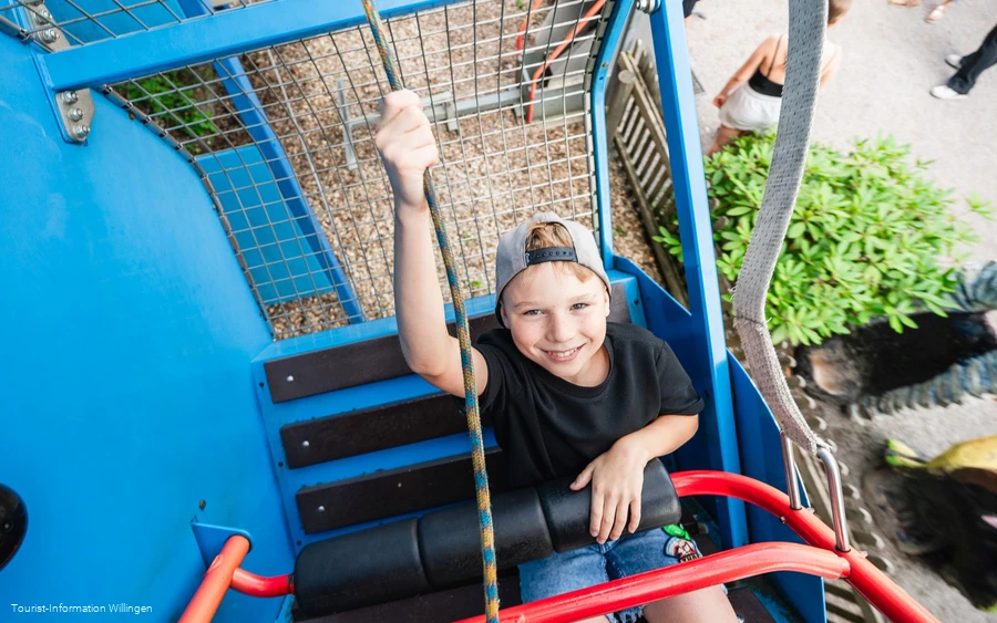 Schaukel im Wild- und Freizeitpark Willingen Schaukel im Wild- und Freizeitpark Willingen