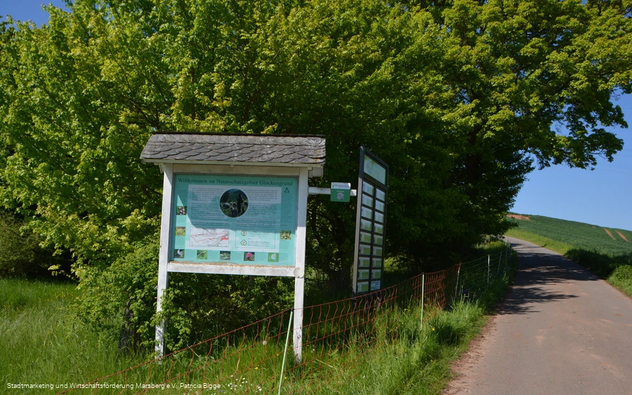 Ud1 Glockengrund Ortswanderweg 2021 05 30 Patricia Bigge (3).JPG