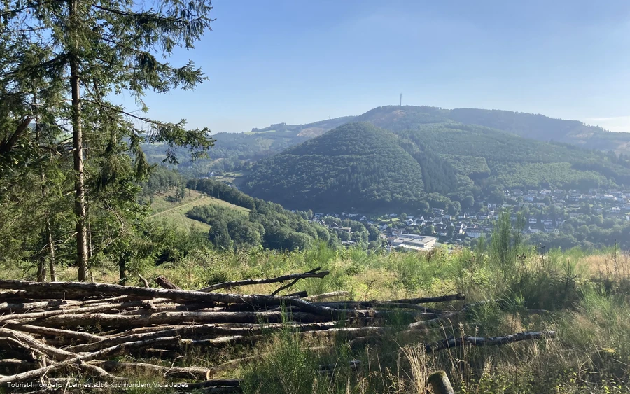 Hohe Schlade_Aussicht .jpeg