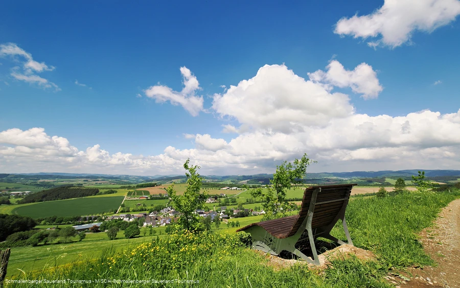Waldsofa oberhalb von Werpe