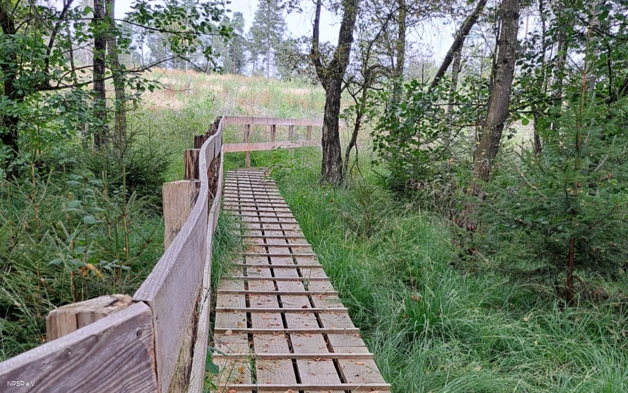 Holzsteg am Piwitt
