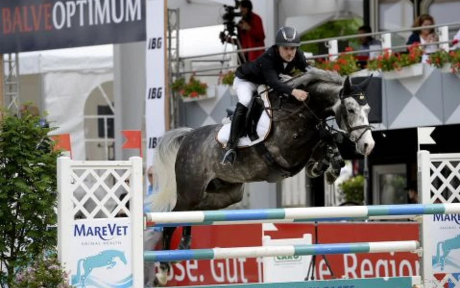 Een springpaard op de Balve Optimum show.