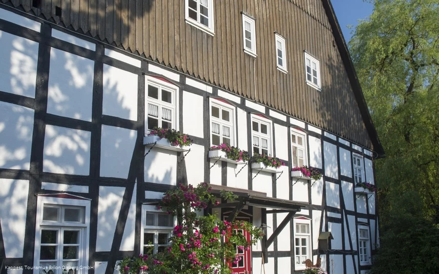 Rosencafe Bruchhausen ( FotoKappest)