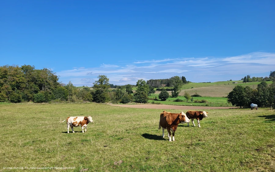 Unterwegs auf dem Vogelerlebnispfad Medebach-Dreislar