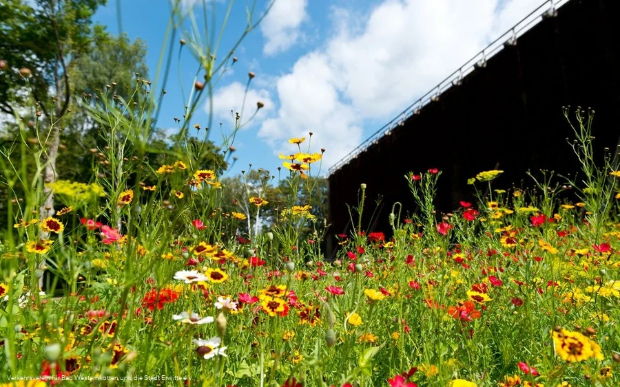 Blummenbeet Blummenbeet