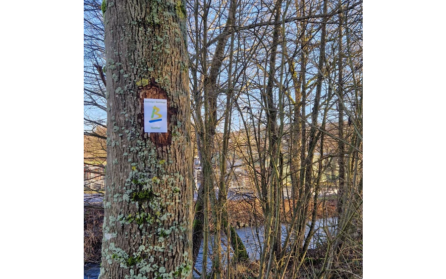 Am Bestwiger BestWeg Nuttlar