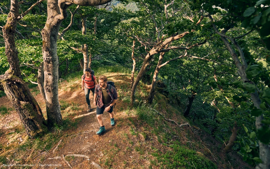 Winterberg Hochtour3.png