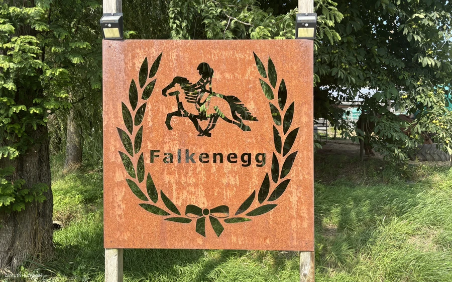 Falkenegg_Logo Falkenegg_Logo