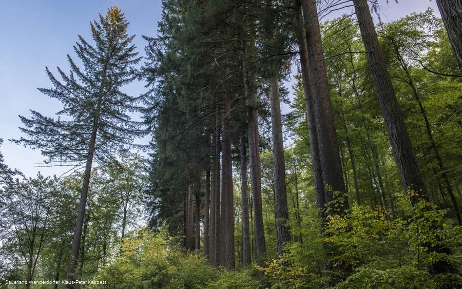 Sauerland-Seelenort Himmelssäulen