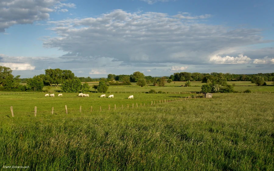 LIPPETAL - Ahsewiesen (Martin Eickenbusch).jpg