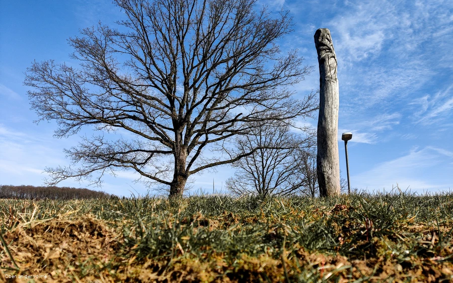 Scheuerpfahl Wurzeln und Erosionen