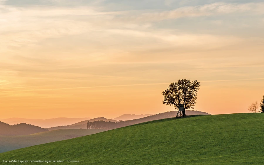 Landschaftspanorama auf dem Hömberg oberhalb von Oberhenneborn