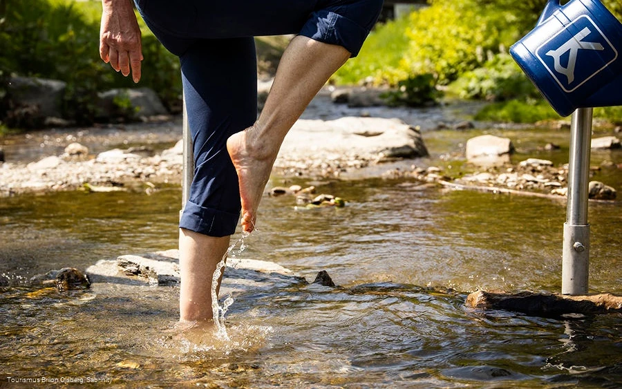 Sprung über das Wasser