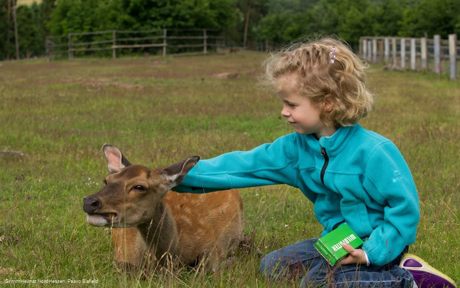 Wildpark Frankenberg (Eder)