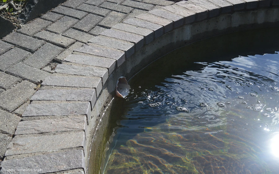 kneippanlage-schwalefeld2 c) tourist-information-willingen.jpg