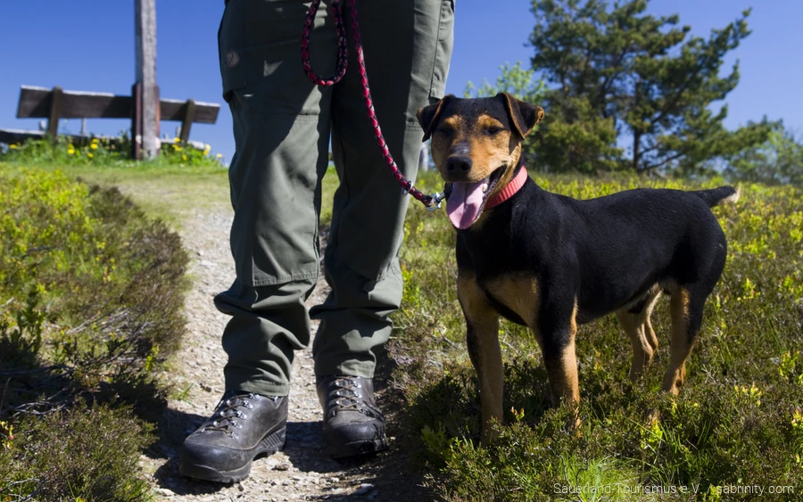 Dog with Ranger 3 A dog is out and about with a ranger
