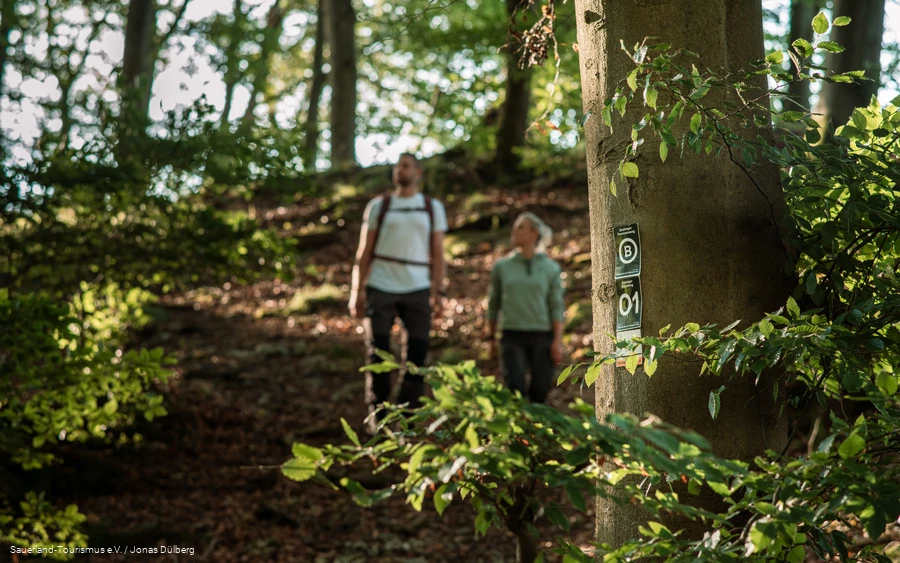 Bestwiger Panoramaweg 4.png