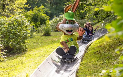 De mascotte Pano van het Panoramapark rijdt op de zomerrodelbaan Fichtenflitzer.