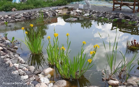 Heilpflanzengarten