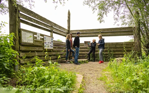 Lippeauen Aussichtspunkt Anglerweg