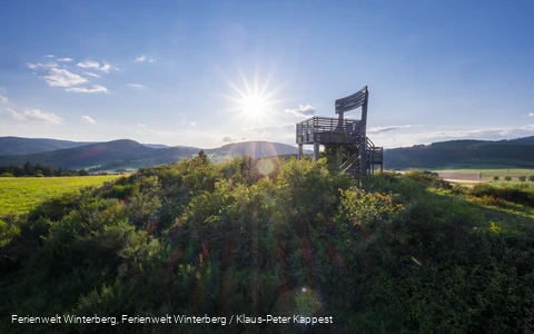 Ein Aussichtsturm in Form eines großen Holzstuhles auf einem bewaldeten Hügel vor blauem Himmel und Sonne inmitten von Wiesen und Wäldern.
