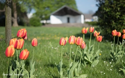 Der Rathauspark in Halver